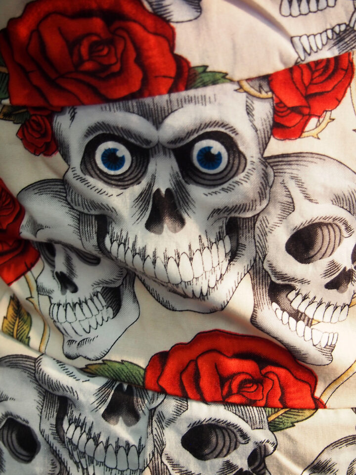 Rockabilly Skulls and Roses Flesh Sweetheart Dress